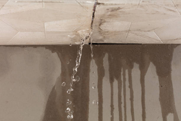 Professional Water Damage Inspection technician working in Marlboro, NJ